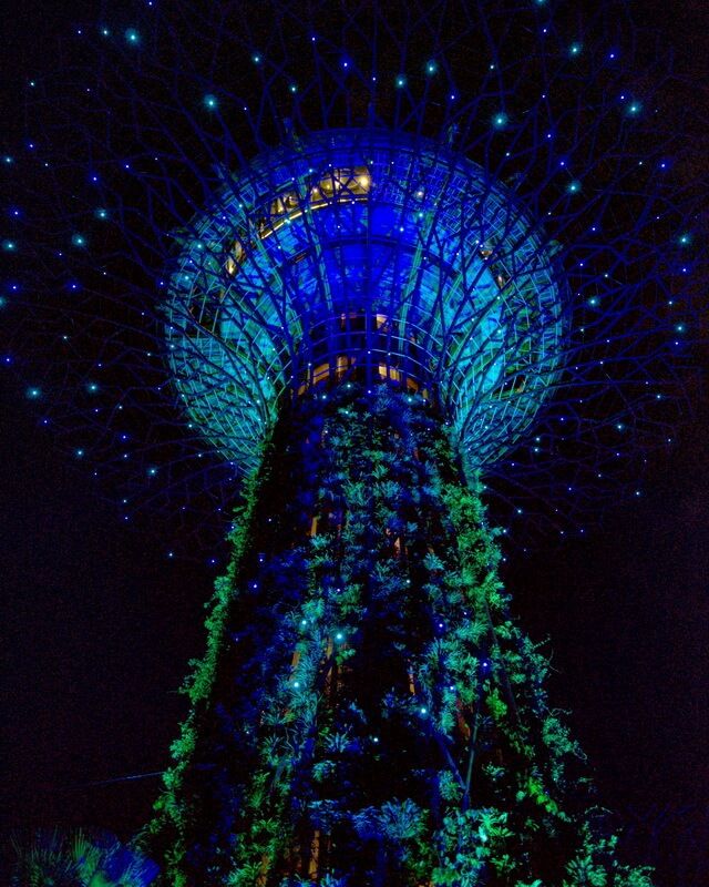 espectaculo de luces gardens by the bay singapur